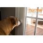 Mighty Paw Smart Bell 2.0, Dog Potty Communication Doorbell, Super-Light Press Button Doorbell