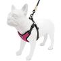 Voyager Step-In Flex Dog Harness - All Weather Mesh, Step In Adjustable Harness for Small and Medium Dogs by Best Pet Supplies