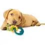 Nylabone Puppy Chew Teething Rings Chew Toy Nylabone Puppy Chew Teething Rings Chew Toy