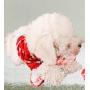 Kikos Squeaky Canvas Pet Toys 5pcs Pack