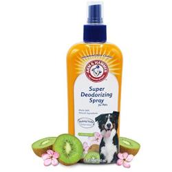 Arm & Hammer Super Deodorizing Spray for Dogs | Best Odor Eliminating Spray for All Dogs & Puppies, Kiwi Blossom Scent,8 Ounces