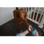 Dexas MudBuster Portable Dog Paw Washer/ Paw Cleaner