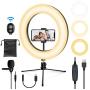 iMartine 10" LED Ring Light with Mic, Tripod Stand and Phone Holder for Selfie, Dimmable Desk Makeup Ringlight for Live Streaming, YouTube Video, Shooting with 3 Light Modes & 13 Brightness Levels