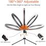 Meifigno 10" Ring Light with Tripod Stand, 10 Inch LED Desk Selfie Ring Light with Phone Holder, [Remote Control][3×10 Light Modes] for YouTube Video/Live Stream/Makeup for iPhone, Samsung, Pixel Etc