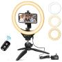 10” LED Selfie Ring Light with Tripod Stand and Phone Holder, Aureday Mini Halo Light for Live Stream/Makeup/YouTube Video/Photography, Compatible with iPhone Android