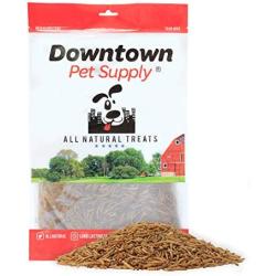 Downtown Pet Supply Dried Mealworms 100% Natural Treats for Wild Birds, Chickens, Reptiles, Fish - Food for Birds, Turkeys