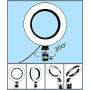 Laerion Camera Light Practical USB Interface Brightness Adjustable Fill Light Beauty lamp Selfie Ring Light On-Camera Video Lights Compatible with Phones and Cameras 6.3"(16cm)