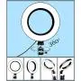 Laerion Camera Light Practical USB Interface Brightness Adjustable Fill Light Beauty lamp Selfie Ring Light On-Camera Video Lights Compatible with Phones and Cameras 6.3&quot(16cm)