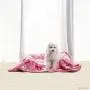 ALLISANDRO 350 GSM-Super Soft and Premium Fuzzy Flannel Fleece Pet Dog Blanket, The Cute Paw and Bone Design Washable Fluffy Blanket for Puppy Cat Kitten Indoor or Outdoor, Pink and Blue ALLISANDRO 350 GSM-Super Soft and Premium Fuzzy Flannel Fleece Pet Dog Blanket, The Cute Paw and Bone Design Washable Fluffy Blanket for Puppy Cat Kitten Indoor or Outdoor, Pink and Blue