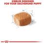 Royal Canin Breed Health Nutrition Dachshund Puppy Dry Dog Food
