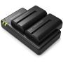 NP-F550 RAVPower Battery Charger for Sony NP F970, F750, F770, F960, F550, F530, F330, F570, CCD-SC55, TR516, TR716, TR818, TR910, TR917 and more (2-Pack Replacement Battery Kit, Dual Slot Charger)
