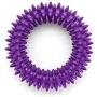 Best Pet Supplies, Inc. Pet Rubber Chew Toy