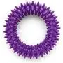 Best Pet Supplies, Inc. Pet Rubber Chew Toy