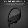 Powerbeats Pro Wireless Earphones - Apple H1 Headphone Chip, Class 1 Bluetooth, 9 Hours Of Listening Time, Sweat Resistant Earbuds - Black