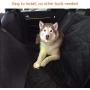 YUNNARL Dog Car Seat Covers 100% Waterproof Dog Seat Cover Nonslip Durable Scratchproof Pet Car Seat Cover Hammock Heavy Duty Convertible Pet Seat Cover for Cars, Trucks, SUV