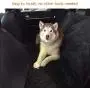 YUNNARL Dog Car Seat Covers 100% Waterproof Dog Seat Cover Nonslip Durable Scratchproof Pet Car Seat Cover Hammock Heavy Duty Convertible Pet Seat Cover for Cars, Trucks, SUV YUNNARL Dog Car Seat Covers 100% Waterproof Dog Seat Cover Nonslip Durable Scratchproof Pet Car Seat Cover Hammock Heavy Duty Convertible Pet Seat Cover for Cars, Trucks, SUV