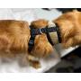 Pucci Paw Dog Harness No Pull Easy Walk for Dogs Cushioned Extra Padding Comfortable Mesh Pet Harness Breathable All Weather Light Weight Strong Puppy Small Medium Large Dog