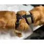 Pucci Paw Dog Harness No Pull Easy Walk for Dogs Cushioned Extra Padding Comfortable Mesh Pet Harness Breathable All Weather Light Weight Strong Puppy Small Medium Large Dog Pucci Paw Dog Harness No Pull Easy Walk for Dogs Cushioned Extra Padding Comfortable Mesh Pet Harness Breathable All Weather Light Weight Strong Puppy Small Medium Large Dog