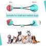 N/F [Latest 2020]  Dog Chew Toys for Aggressive Chewers- Suction Cup Interactive Ropes Dogs Toy for Pet Teeth Cleaning, Training, Kill Boring Time, Food Dispensing Ball Toys for Small Medium Dogs