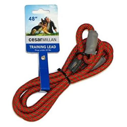 Cesar Millan Slip Lead Leash - Slip Collar Training Lead Gives You Greater Control The Ability to Make Quick Gentle Corrections Cesar Millan Slip Lead Leash - Slip Collar Training Lead Gives You Greater Control The Ability to Make Quick Gentle Corrections