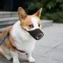 IREENUO Dog Muzzle to Prevent Biting Barking and Chewing with Adjustable Loop Breathable Mesh Soft Fabric IREENUO Dog Muzzle to Prevent Biting Barking and Chewing with Adjustable Loop Breathable Mesh Soft Fabric