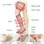 QUINEAR Leg Massager for Circulation, Foot Calf & Thigh Wraps Massage Helpful for Muscles Relaxation and Pain Relief - 3 Modes & 3 Intensities Include 2 Extensions