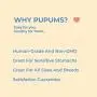 Pupums Healthy Dog Treats | All Natural Dog Biscuits with Non GMO Ingredients | 100% Human Grade | Handcrafted and Made in The USA | Made for All Dog Sizes and Ages | Various Flavors