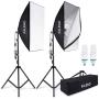 RALENO 800W Softbox Photography Lighting Kit 2 X 50 X 70 inch Professional Photography Continuous Lighting Equipment with 2 x E27 Socket 5500K Bulbs for Portraits and Product Shooting