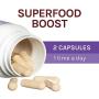 Host Defense, Lions Mane Capsules, Promotes Mental Clarity, Focus and Memory, Daily Mushroom Supplement, Vegan, Organic, 60 Capsules (30 Servings)