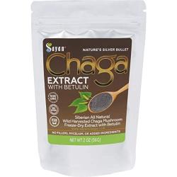 Sayan Siberian Wild Forest Chaga Mushroom Extract Powder with Betulin Birch Bark Extract – 2 Oz (56 g)– Antioxidant Tea for Immune Support, Improved Digestion