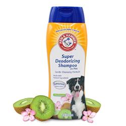 Arm & Hammer Super Deodorizing Shampoo for Dogs | Odor Eliminating Shampoo for Smelly Dogs & Puppies | Kiwi Blossom, 20 Ounces - 2 Pack