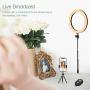 LED Ring Light 10" with Tripod Stand & Phone Holder for YouTube Video, Desk Selfie Ring Light Dimmable for Streaming, Makeup, Photography Compatible with iPhone Android