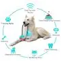 USWT Pet Chew Ball Toy with Suction Cup Dog Food Dispensing Ball Puppy Interactive Molar Toys Toothbrush USWT Pet Chew Ball Toy with Suction Cup Dog Food Dispensing Ball Puppy Interactive Molar Toys Toothbrush