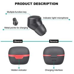 Wireless Earbuds, Wireless Headphones Besunny Bluetooth 5.0 Earbuds with USB-C Charging Case, Bluetooth Earbuds Waterproof True Wireless Earbuds, Built-in Mic Bluetooth Headphones (1Pair, Black)