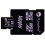 TF Memory Card 32GB Micro SD SDHC Card Plus Adapter, Amplim 32 GB MicroSDHC Ultra High Speed 667X 100MB/s UHS-1 for Cell Phone, Tablet, Camera, 3DS, Fire MicroSD HC Flash (V10 A1 Class 10 U1 UHS-I)