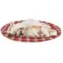 KOOLTAIL Washable Pee Pads for Dogs - Round Plaid Puppy Potty Pad for Dog Playpen, Reusable Whelping Training Pads Red KOOLTAIL Washable Pee Pads for Dogs - Round Plaid Puppy Potty Pad for Dog Playpen, Reusable Whelping Training Pads Red