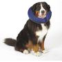 Total Pet Health Inflatable Dog Collars - Veterinarian-Approved Collars Designed to Prevent Pets from Biting and Scratching at Injuries,Stitches, Wounds, and Rashes