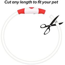 BSEEN LED Dog Collar, USB Rechargeable Glowing Pet Collar, TPU Cuttable Dog Safety Lights for Small Medium Large Dogs