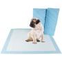 BV Pet Potty Training Pads for Dogs Puppy Pads, Quick Absorb, 22" x 22", 100-Count