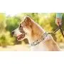 Deluxe Adjustable Prong Training Collar with Quick Release, No-Choke Pinch Collar is Safe and Effective, Chrome-Plated for Maximum Strength, Will Not Rust or Break (Sizes: Small, Medium, Large) Deluxe Adjustable Prong Training Collar with Quick Release, No-Choke Pinch Collar is Safe and Effective, Chrome-Plated for Maximum Strength, Will Not Rust or Break (Sizes: Small, Medium, Large)