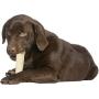 Pet Factory 78704 Beefhide | Dog Chews, 99% Digestive, Rawhides to Keep Dogs Busy While Enjoying, 100% Natural Flavored Rolls, Pack of 22 in 5" Size, Made in USA