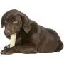 Pet Factory 78704 Beefhide | Dog Chews, 99% Digestive, Rawhides to Keep Dogs Busy While Enjoying, 100% Natural Flavored Rolls, Pack of 22 in 5" Size, Made in USA Pet Factory 78704 Beefhide | Dog Chews, 99% Digestive, Rawhides to Keep Dogs Busy While Enjoying, 100% Natural Flavored Rolls, Pack of 22 in 5" Size, Made in USA
