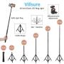 Villsure LED Ring Light, 10" Selfie Ring Light with Adjustable Tripod Stand and Phone Holder, Dimmable Led Camera Ringlight for Live Stream/Make Up/YouTube, Compatible with iPhone/Android