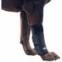 Labra Co. Dog Canine Front Leg Compression Brace Wrap Sleeve Protects Wounds Brace Heals and Prevents Injuries and Sprains Helps with Loss of Stability Caused by Arthritis