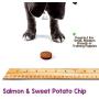 Nature Gnaws Smoked Salmon & Sweet Potato Chips for Dogs - Premium Natural Grain Free Dog Chew Treats - Simple Fish and Sweet Potato Receipe