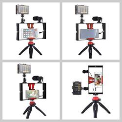 Smartphone Video Rig Kit PULUZ Smartphone Video Grip with Microphone + Video Light + Cold Shoe Tripod Head + Mini Tripod for iPhone Samsung and Most Phones Within 7-inch Screen (Red)