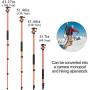 MACTREM Professional Camera Tripod with Phone Mount, 62" DSLR Tripod for Travel, Super Lightweight and Reliable Stability, Ball Head Tripod Detachable Monopod with Carry Bag (Orange)