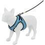 Voyager Step-in Air Dog Harness - All Weather Mesh, Step in Vest Harness for Small and Medium Dogs by Best Pet Supplies