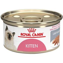 Royal Canin Feline Health Nutrition Loaf in Sauce Wet Kitten Food