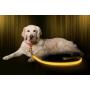 Illumiseen LED Dog Collar - USB Rechargeable - Available in 6 Colors & 6 Sizes - Makes Your Dog Visible, Safe & Seen